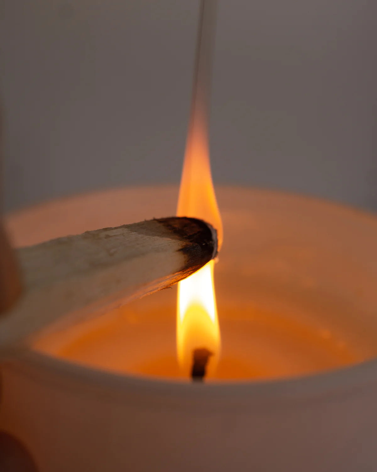 ECUADORIAN PALO SANTO BUNDLE