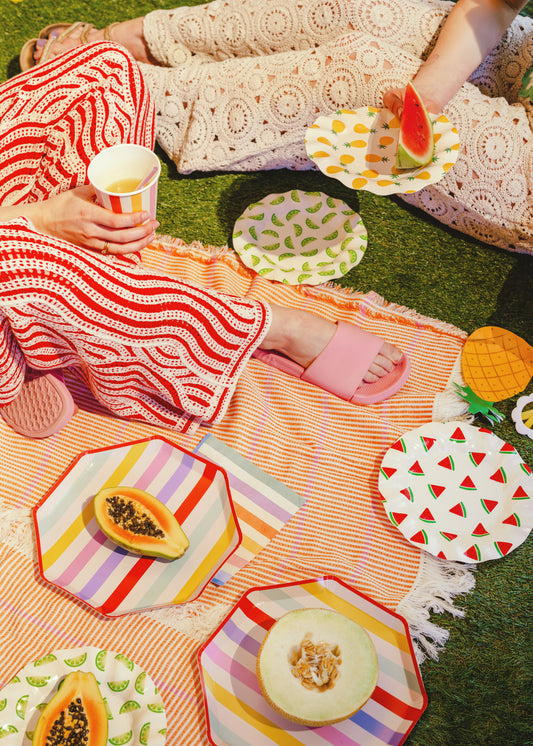 Retro inspired striped party plates styled for a summer picnic available at our Toronto party shop