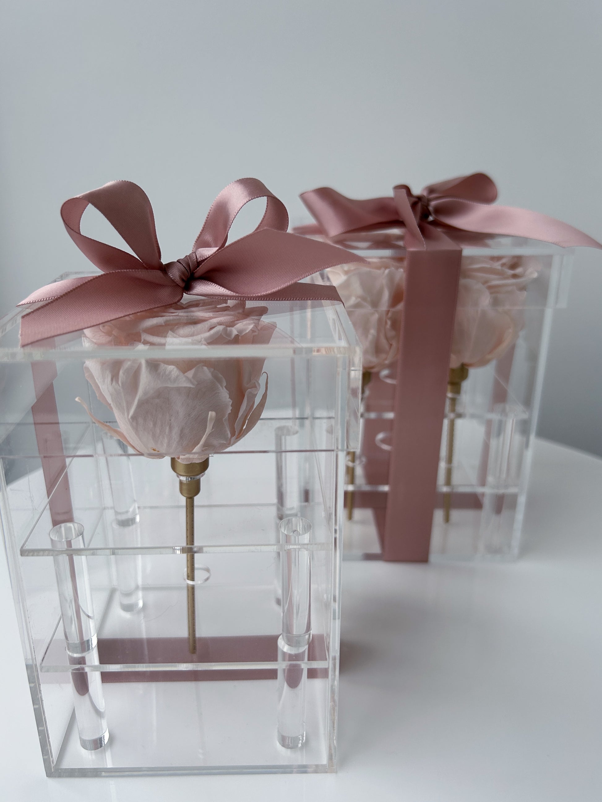 single preserved nude rose acrylic box