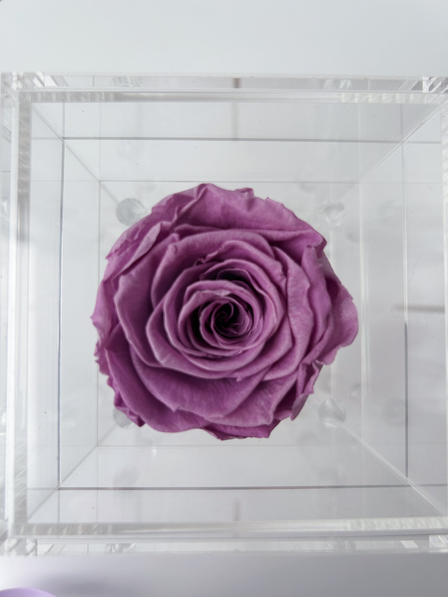 single purple preserved rose acrylic box