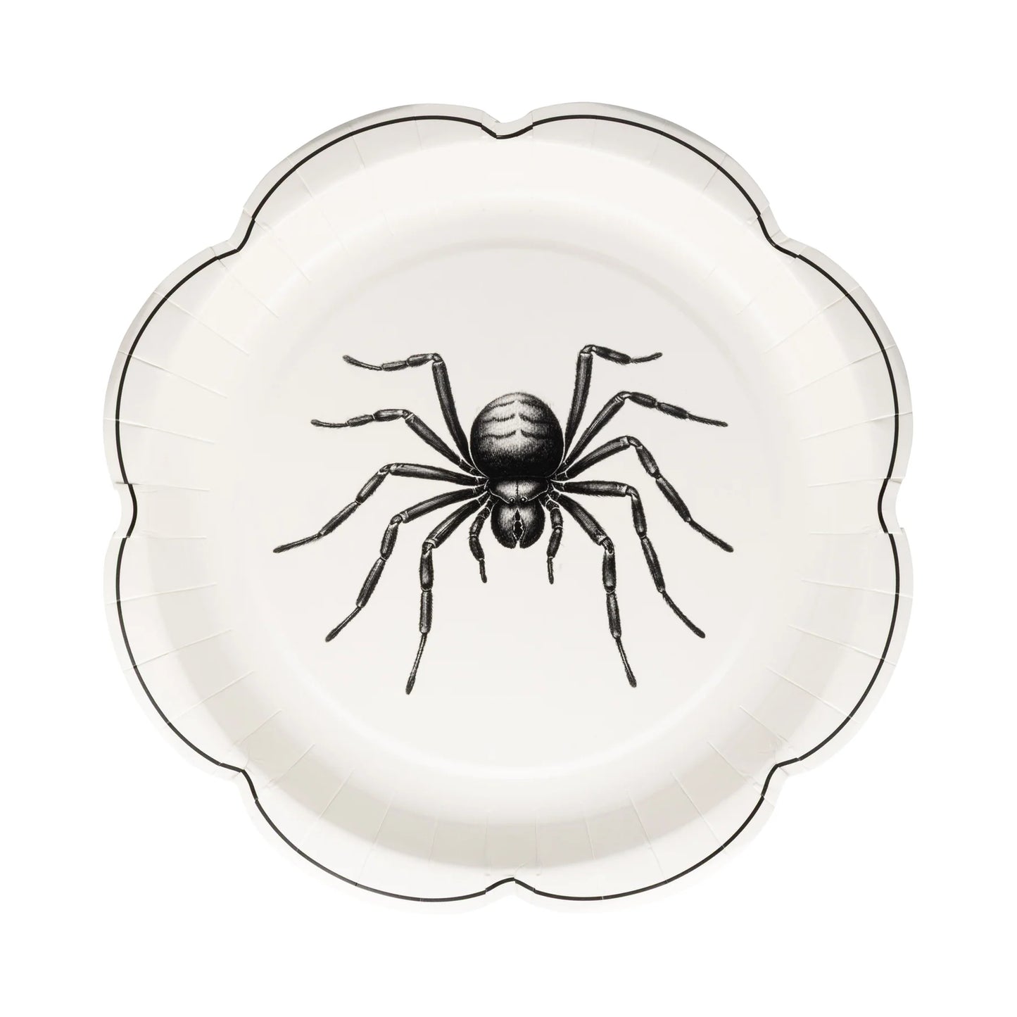 APOTHECARY PAPER PLATE SET
