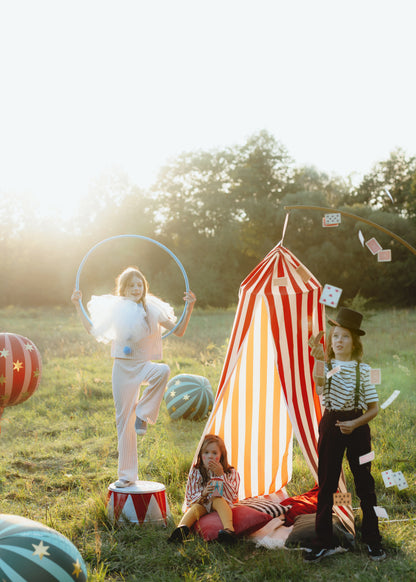 CIRCUS CANOPY