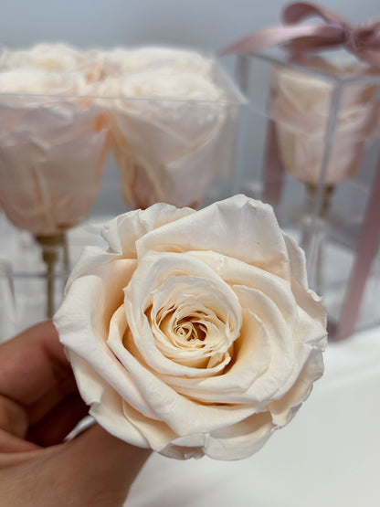 Close-up of a preserved nude rose from the Acrylic Luxe Rose Box, a luxury floral gift available in Toronto.
