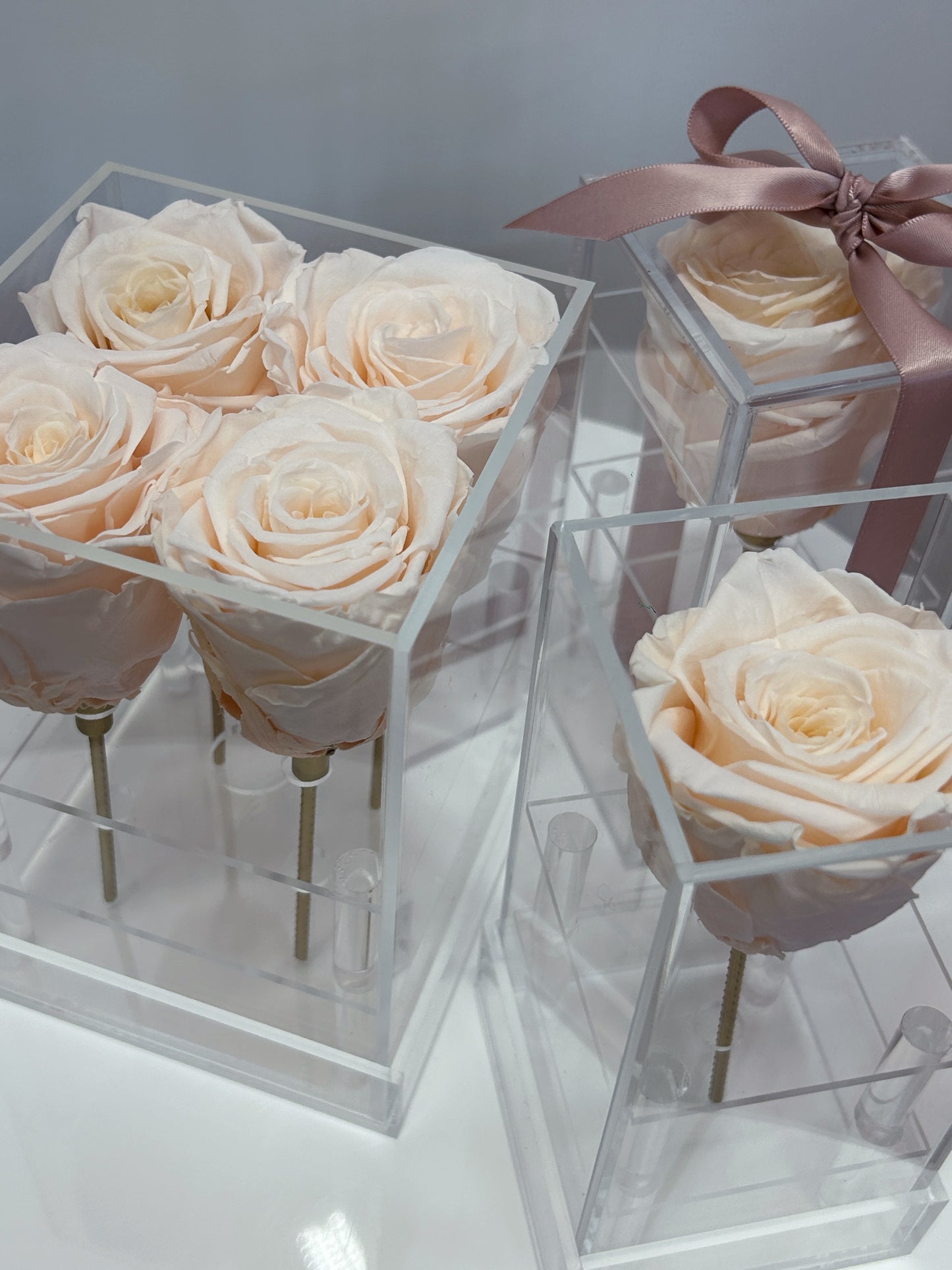 Acrylic Luxe Rose Box in nude, featuring preserved roses in elegant clear boxes, available in Toronto for gifting.