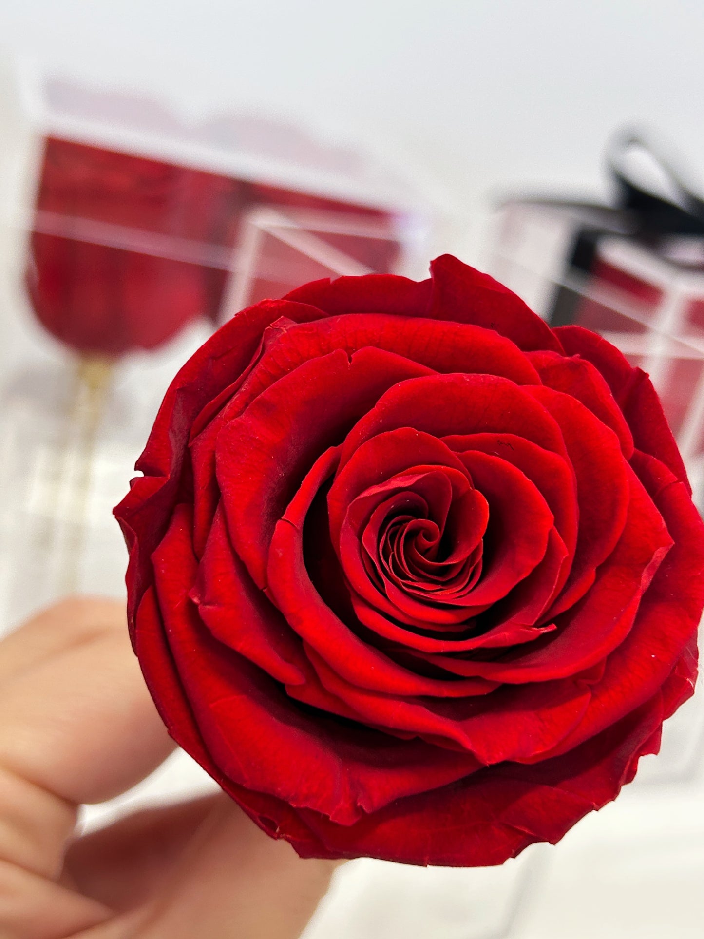 Close-up of a preserved red rose from the Acrylic Luxe Rose Box, a luxury floral gift available in Toronto.