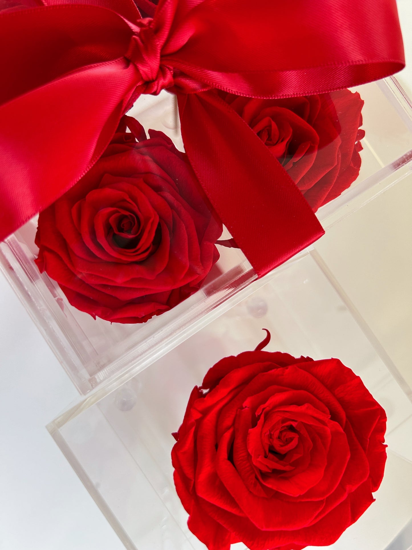 Multiple Acrylic Luxe Rose Boxes with preserved red roses, available in Toronto and shipping across Canada.
