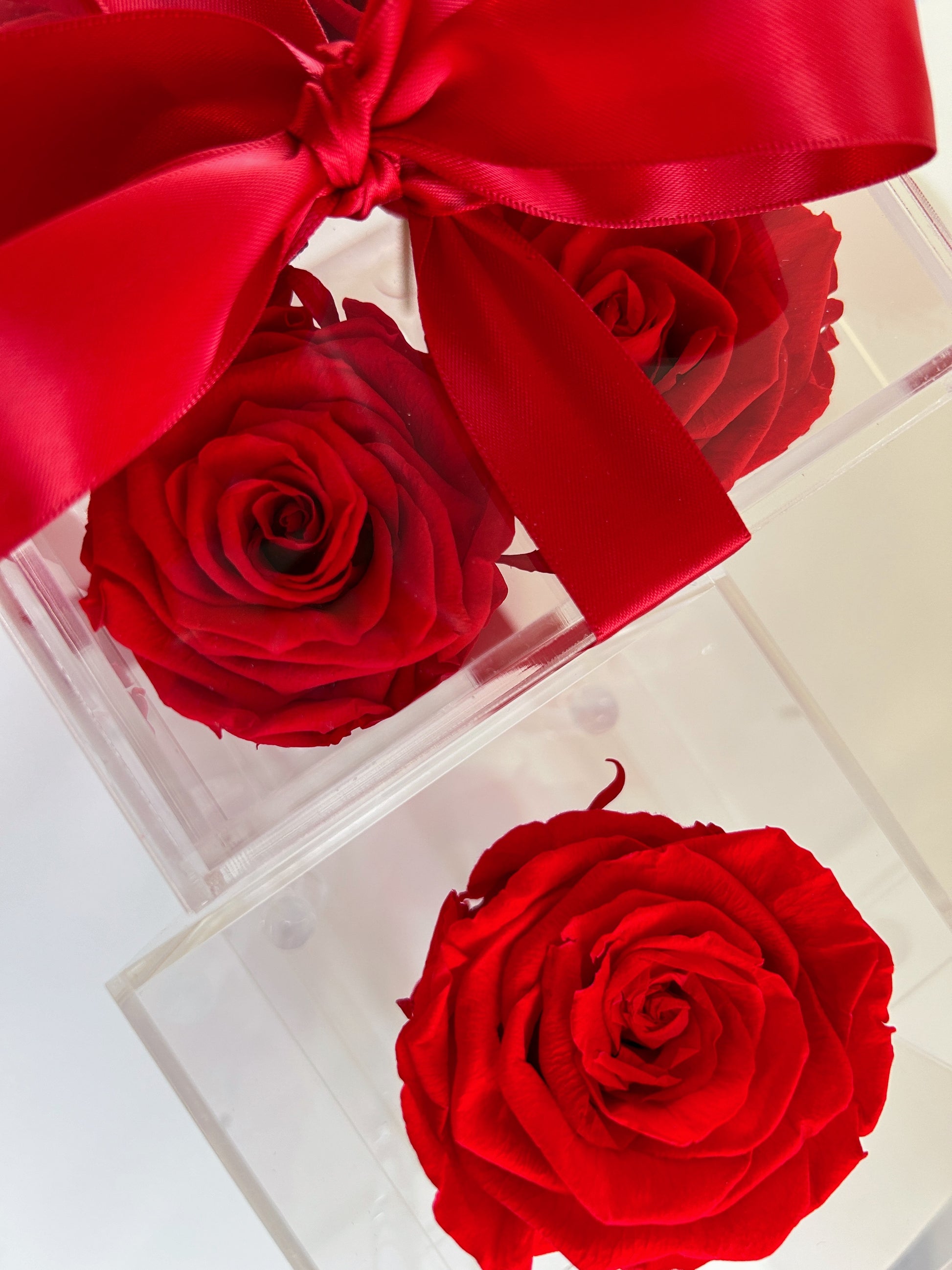 Multiple Acrylic Luxe Rose Boxes with preserved red roses, available in Toronto and shipping across Canada.
