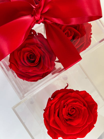 Multiple Acrylic Luxe Rose Boxes with preserved red roses, available in Toronto and shipping across Canada.