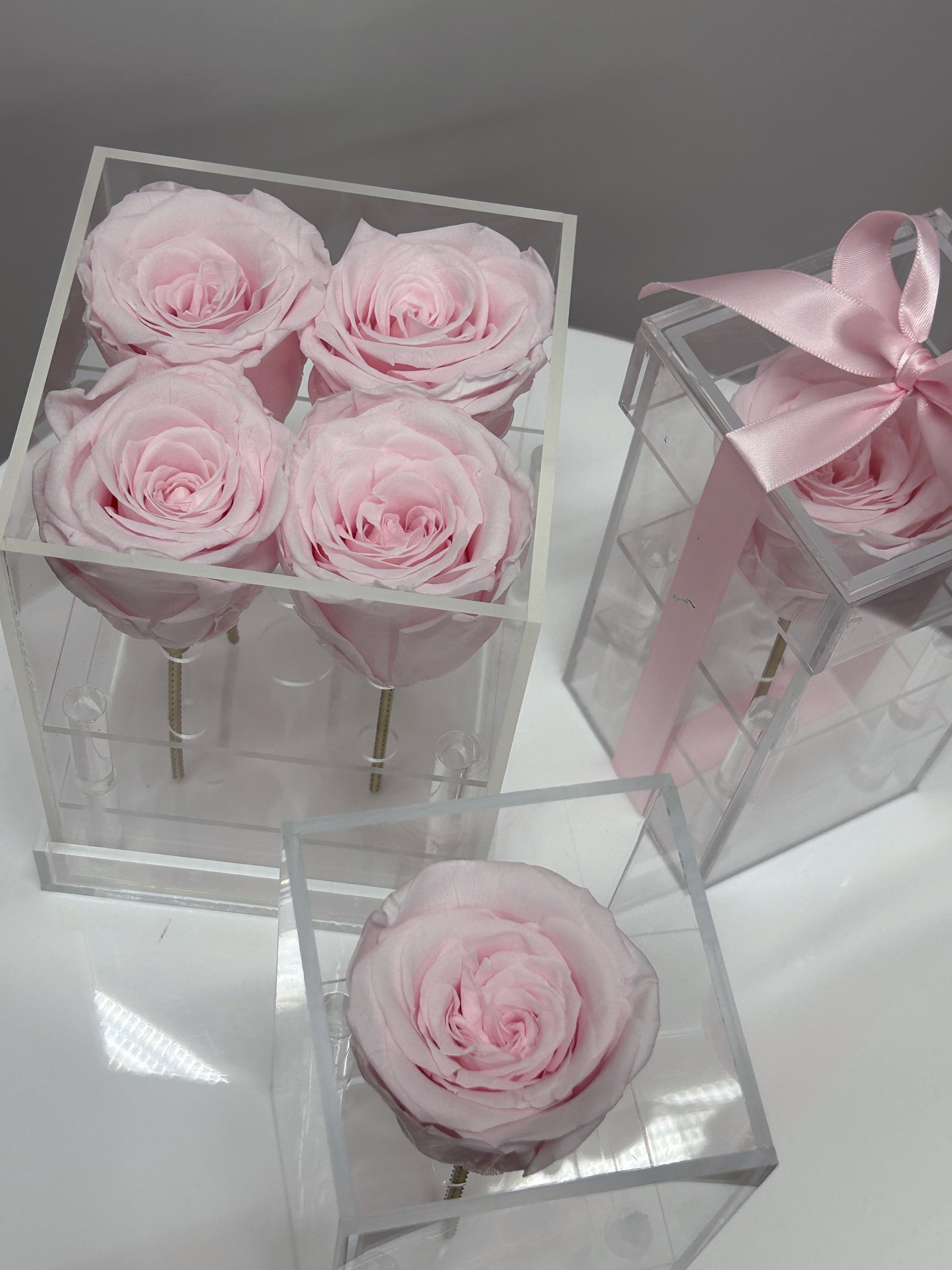Acrylic rose box with preserved soft pink roses, a luxury floral gift available in Toronto.