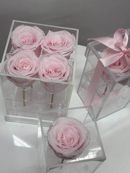 Acrylic rose box with preserved soft pink roses, a luxury floral gift available in Toronto.