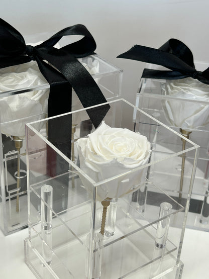 Acrylic rose box with preserved white roses and black ribbon, an elegant floral gift available in Toronto.