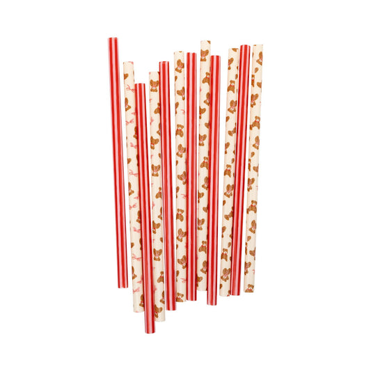 Beary Loved reusable straws with teddy bear print and red stripes, sold in Toronto at Confetti My Party