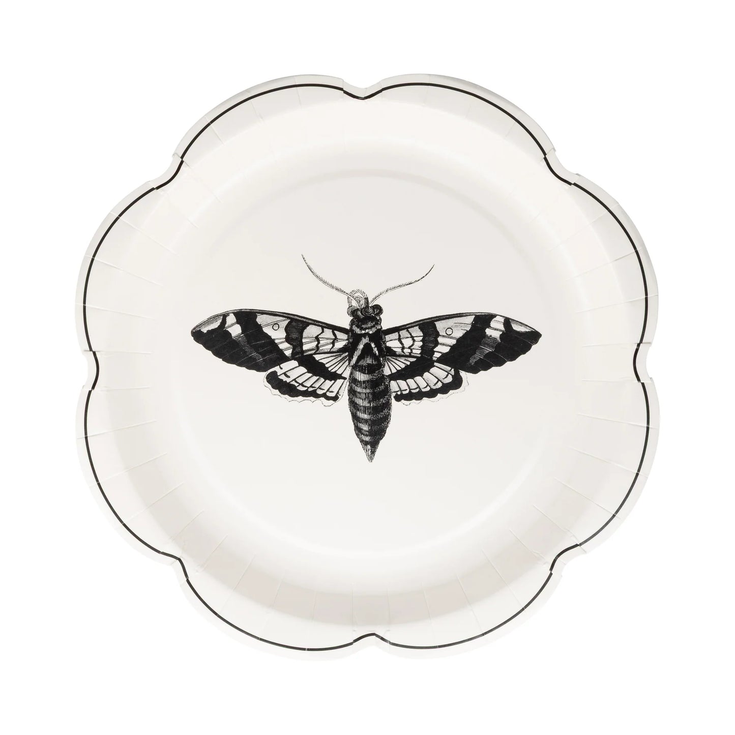 Decorative plate with a black and white moth design on a white background
