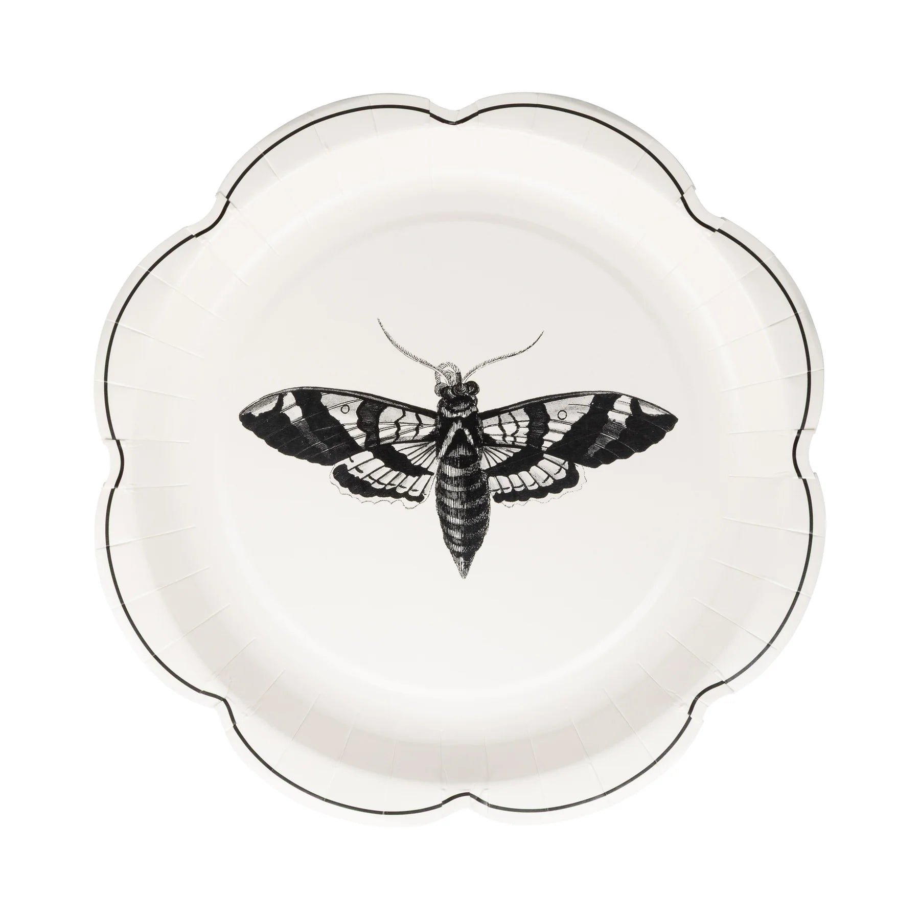 Decorative plate with a black and white moth design on a white background
