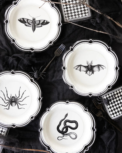 Halloween-themed plates with black spider, bat, and snake designs on a dark surface.