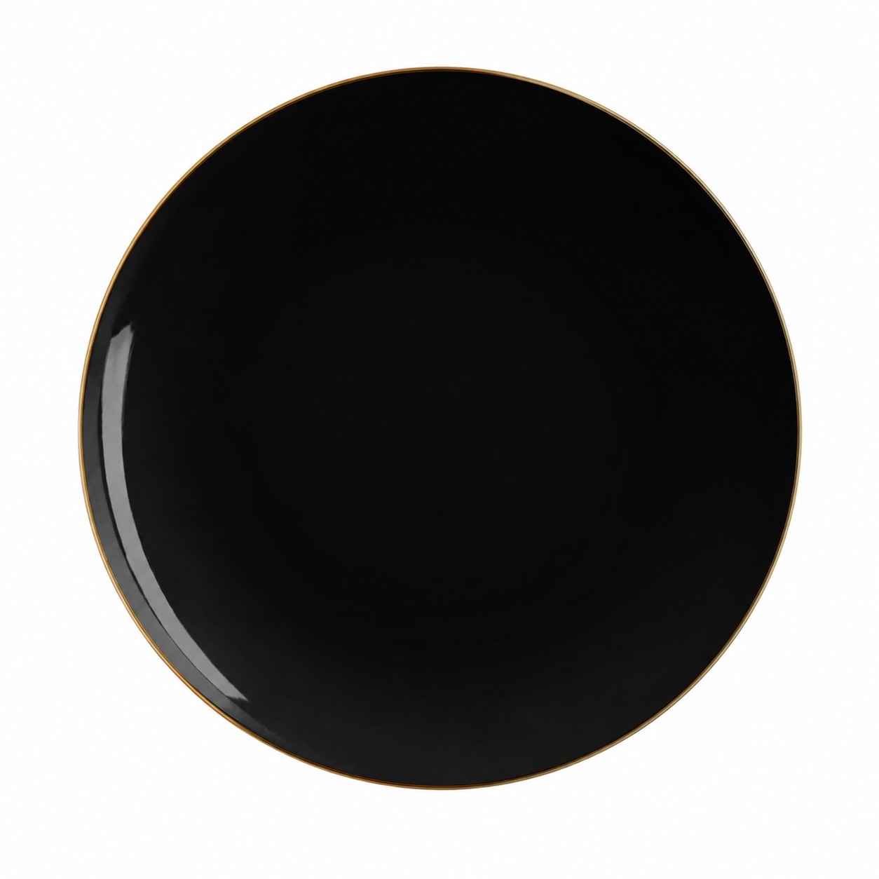 BLACK & GOLD ROUND REUSABLE DINNER PLATES | 10 PIECES