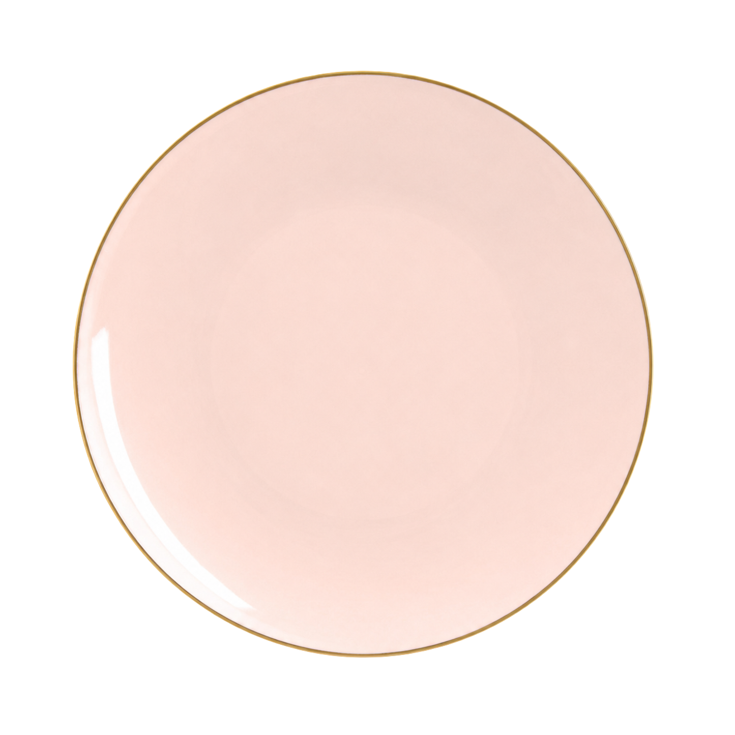 BLUSH & GOLD ROUND REUSABLE DINNER PLATES | 10 PIECES