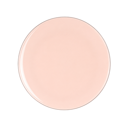 BLUSH & SILVER ROUND REUSABLE DESSERT PLATES | 10 PIECES