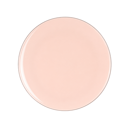 BLUSH & SILVER ROUND REUSABLE DESSERT PLATES | 10 PIECES