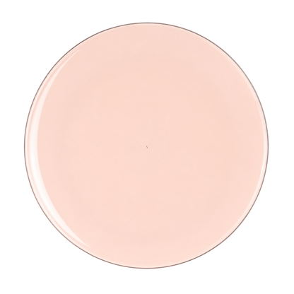 BLUSH & SILVER ROUND REUSABLE DINNER PLATES | 10 PIECES