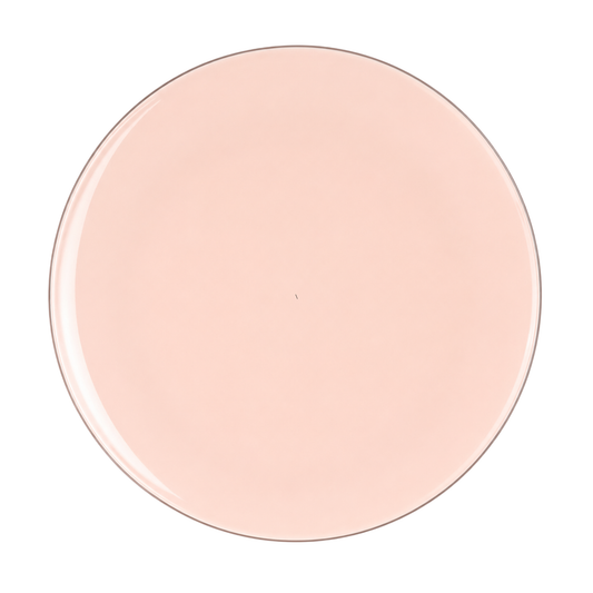 BLUSH & SILVER ROUND REUSABLE DINNER PLATES | 10 PIECES