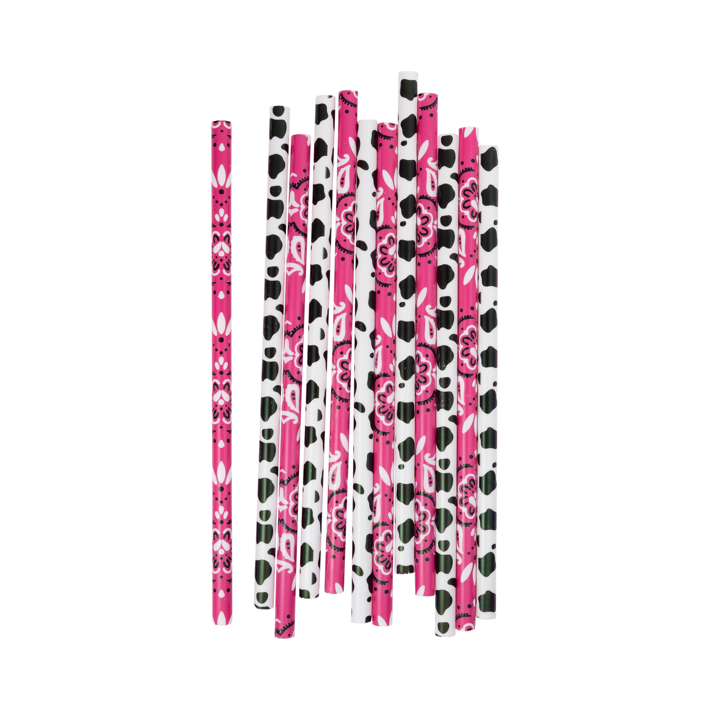 Pack of 12 pink bandana and cow print reusable straws, Toronto party supplies.
