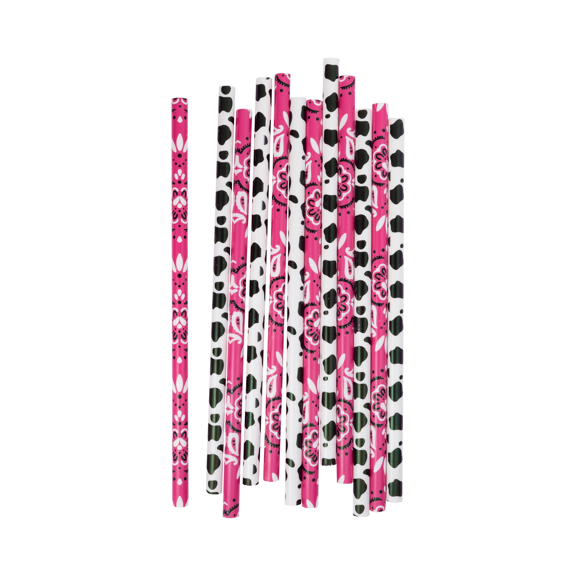 Pack of 12 pink bandana and cow print reusable straws, Toronto party supplies.