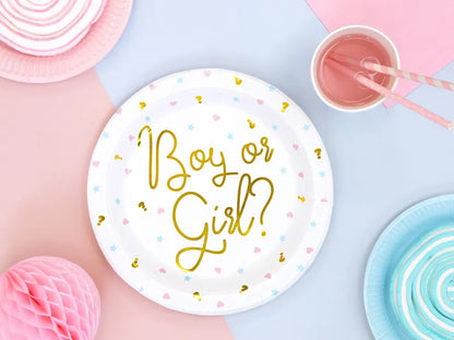 BOY OR GIRL PAPER PLATES