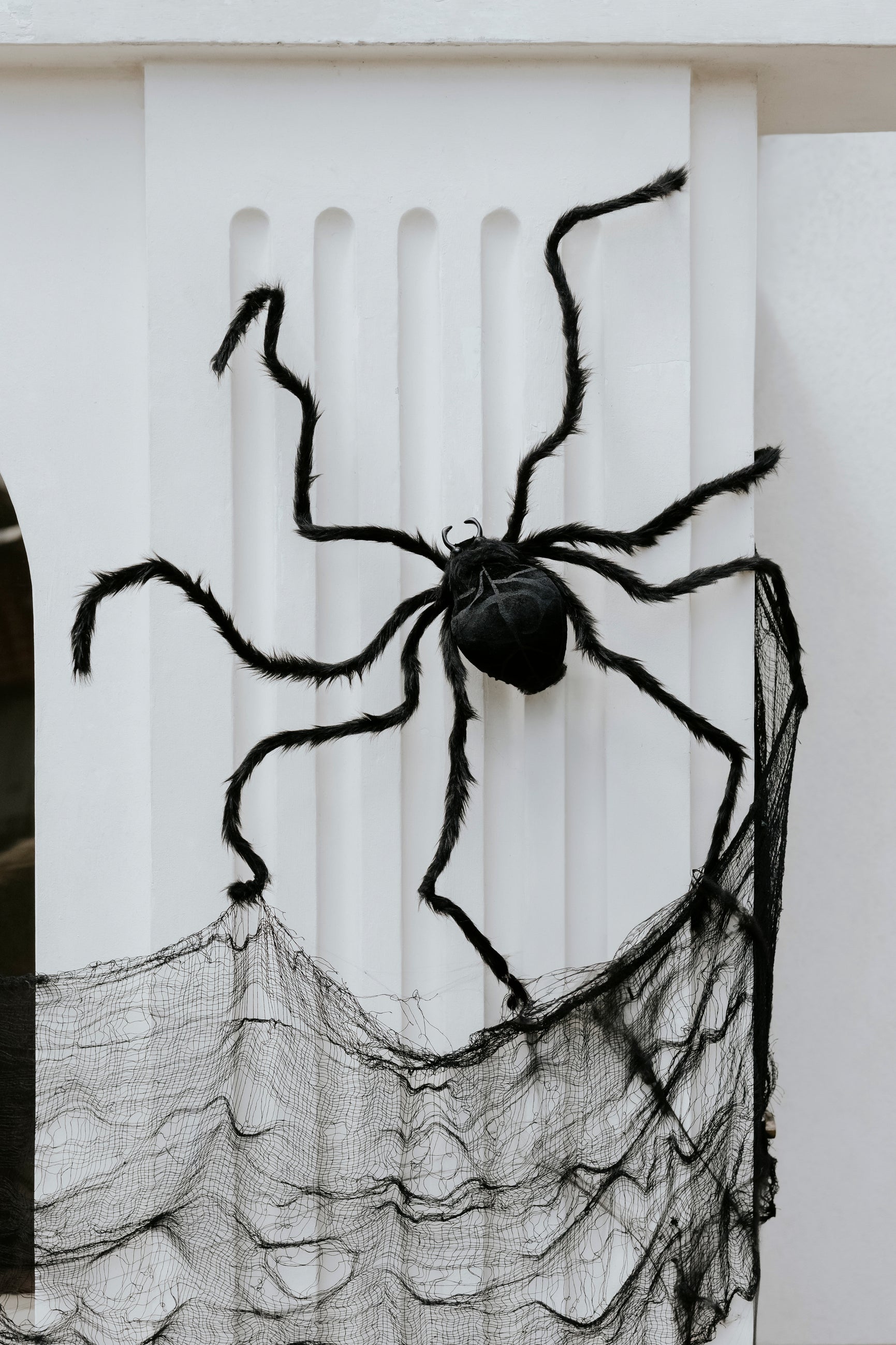 Giant black spider decoration posed on a white wall with black webbing, Halloween indoor and outdoor prop. Available in Toronto or Canada-wide.