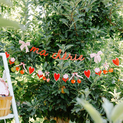Ma Chérie banner styled outdoors for a Valentine’s Day celebration, Toronto party decor from Confetti My Party