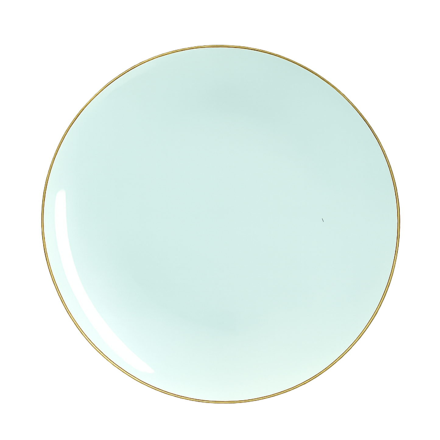 MINT & GOLD ROUND REUSABLE DINNER PLATES | 10 PIECES