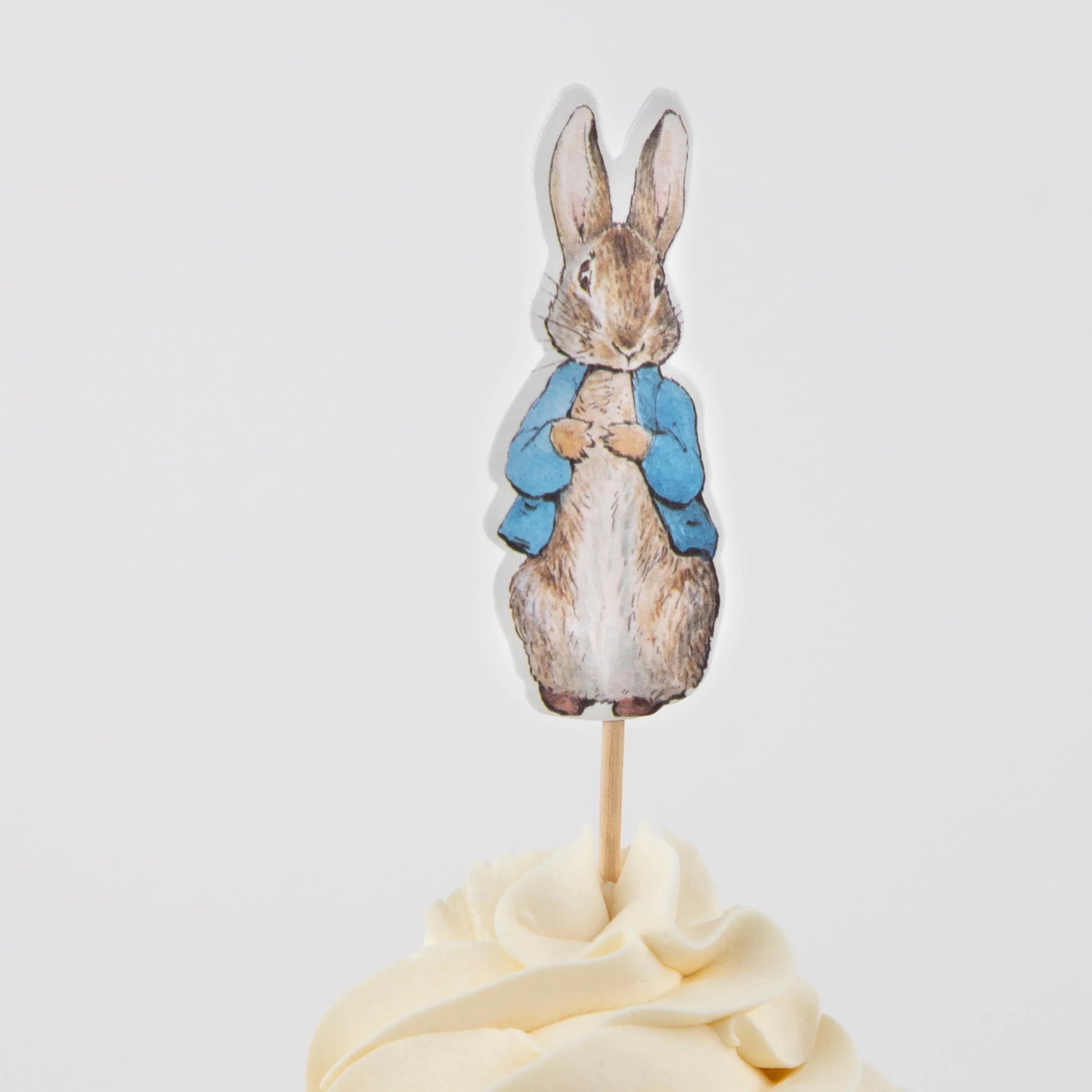 Peter Rabbit cupcake topper in blue jacket from Meri Meri cupcake kit, sold in Toronto at Confetti My Party.