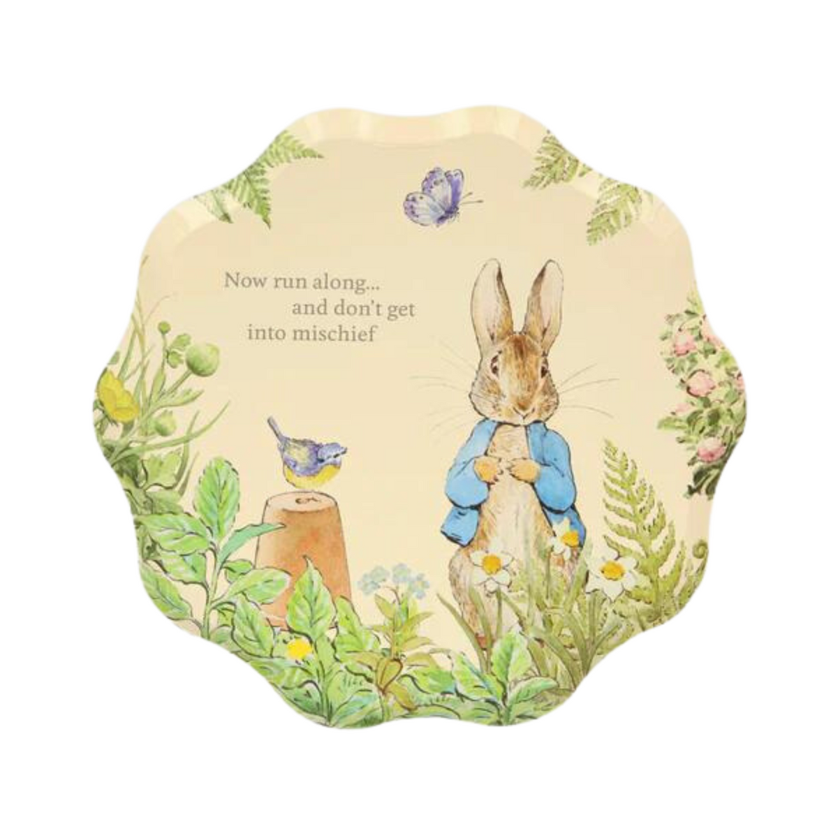 PETER RABBIT IN THE GARDEN SIDE PLATES BY MERI MERI – CONFETTIMYPARTY