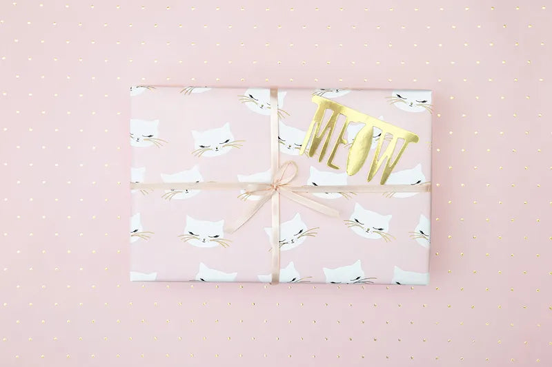 present wrapped in pink cat wrapping paper