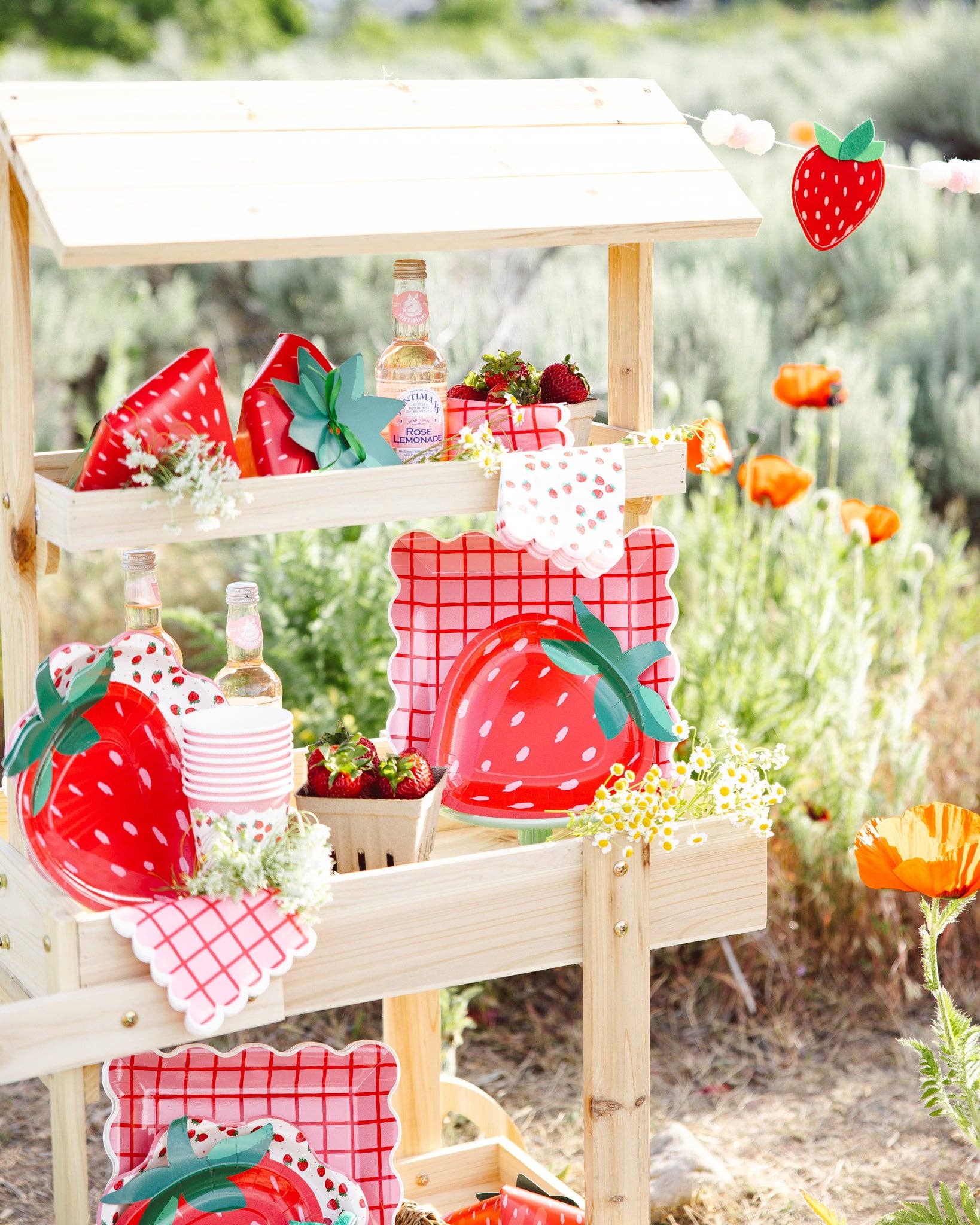 Strawberry-shaped plates styled with matching napkins and treat boxes at a Toronto summer picnic.