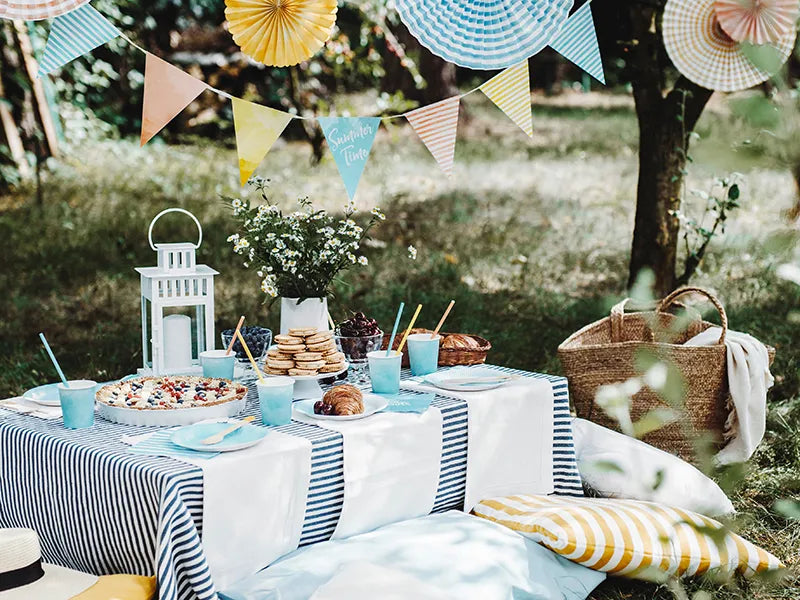 summertime picnic with fun coloured party supplies