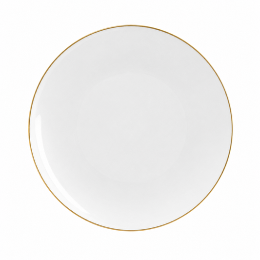 WHITE & GOLD ROUND REUSABLE DINNER PLATES | 10 PIECES
